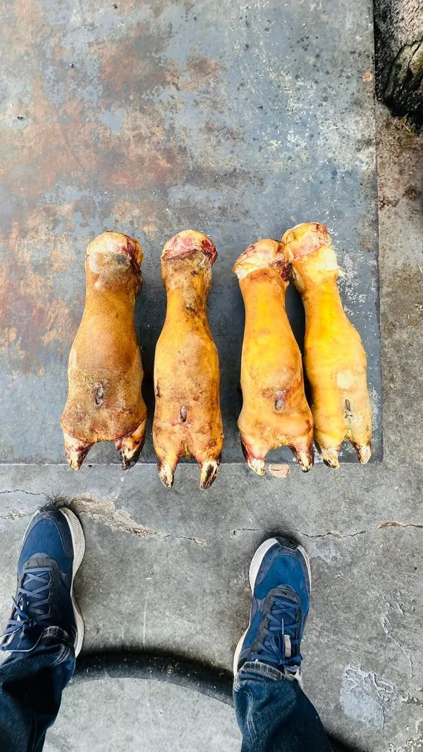 Frozen Beef Feet - Cleaned & High Quality (A-Grade) 4
