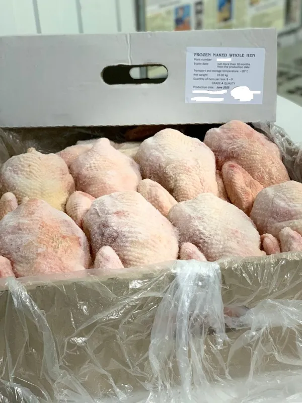 Frozen naked whole hens, for West Africa 3