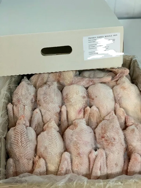 Frozen naked whole hens, for West Africa 5