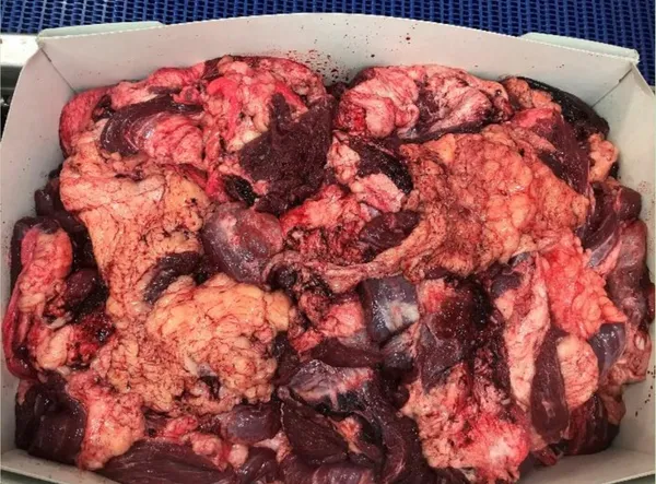 Frozen Beef Head Meat