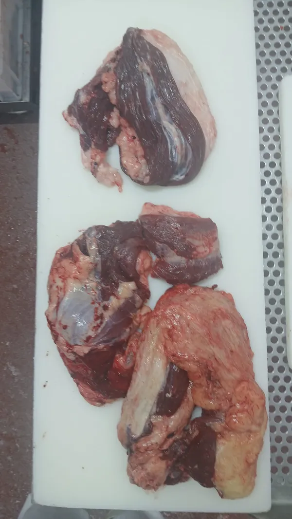 Frozen Beef Head Meat 2