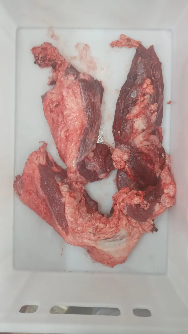 Frozen Beef Head Meat 3