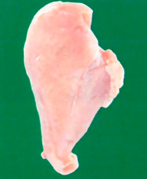 Frozen chicken fillet without inner