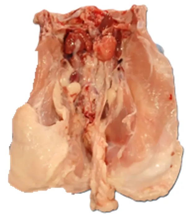 Frozen chicken lower backs 2