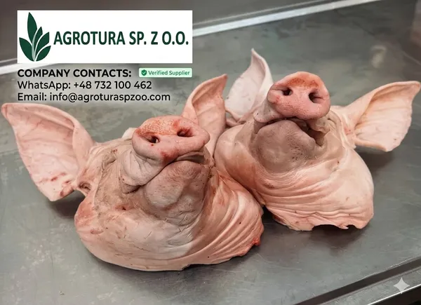 Premium Wholesale Pork Head – Fresh & Frozen High-Quality Pork Heads Sourced from Certified Farms, Hygienically Processed, Rich in Flavor and Nutrients, Ideal for Traditional Cuisine, Meat Processing, and Export Supply with Custom Packaging and Reliable Global Delivery 2
