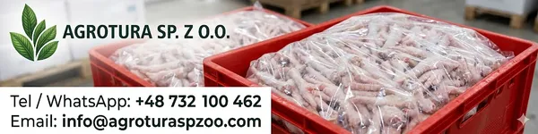 Premium Wholesale Frozen Chicken Feet and Paws Supplier – Grade A Quality, Cleaned and Processed, High Protein Export Standard Poultry Product 2