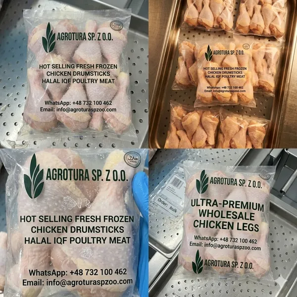 Hot Selling Fresh Frozen Chicken Drumsticks Halal IQF Poultry Meat Bagged Bulk Wholesale Chicken Legs 2
