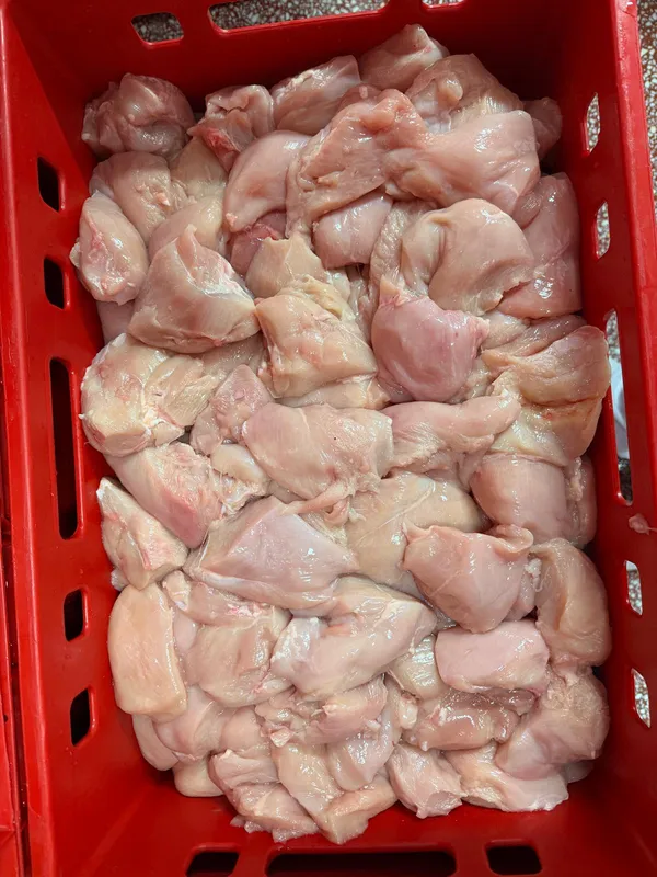 Chicken Filet Pieces, frozen, naked Blocks 3