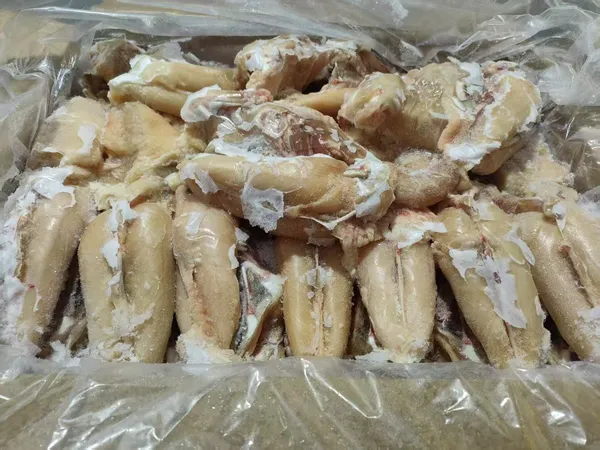 Frozen Chicken Breast Frame with Neck 3