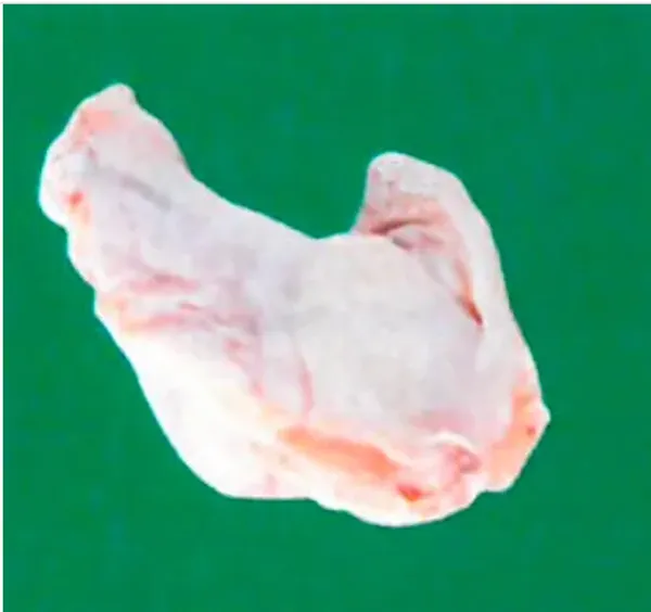 Frozen chicken prime wings