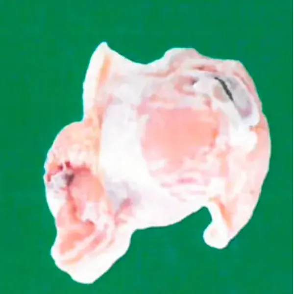 Frozen chicken prime wings 2