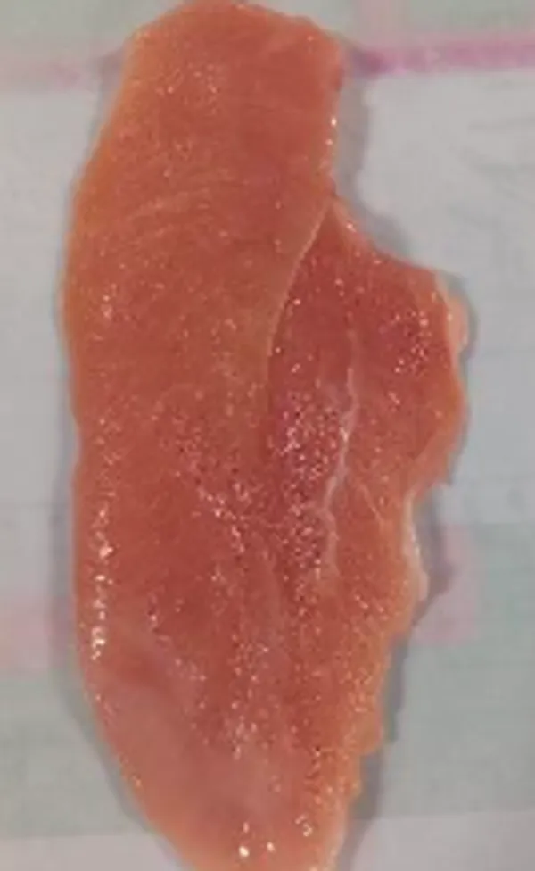 Frozen Horizontal/vertical cut chicken breast fillet 90g-100g 2