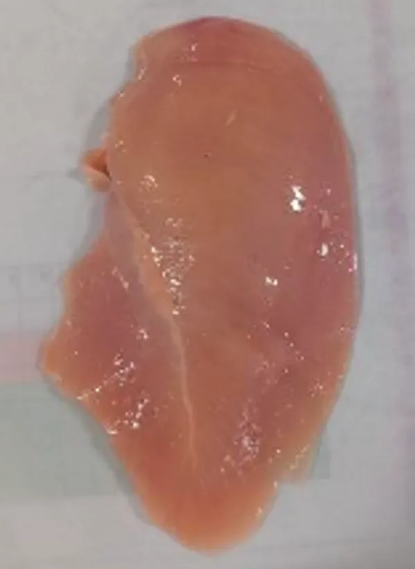 Frozen horizontal/vertical cut chicken breast fillet 140-170g 2