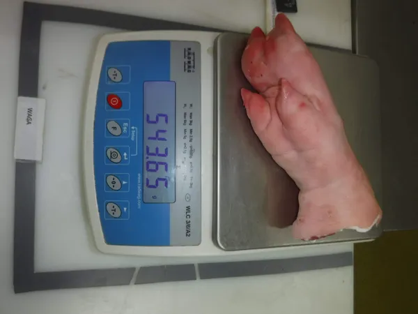 Frozen pork front feet, long cut 2