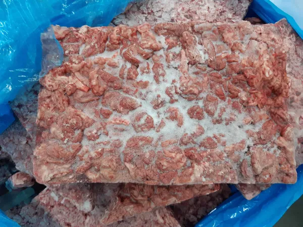 Frozen pork brains// naked block 5
