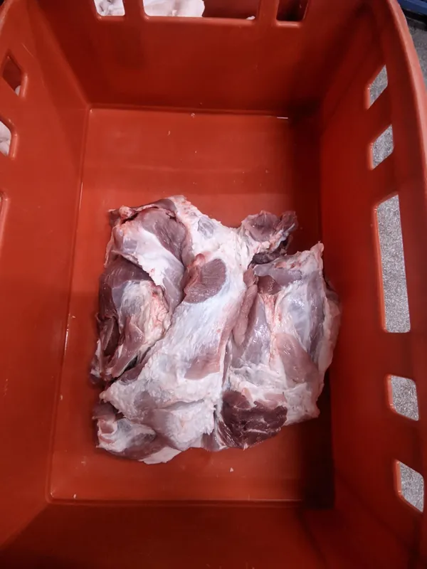 Frozen pork hind shank boneless 21000 kg