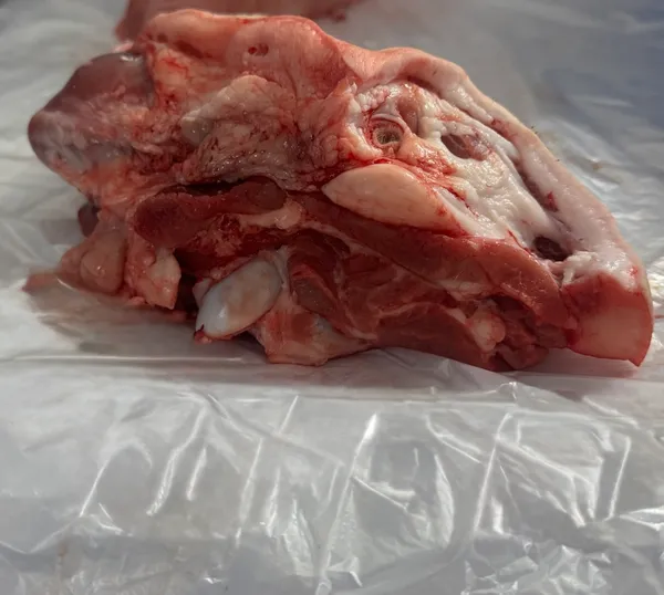 Frozen pok half heads 2