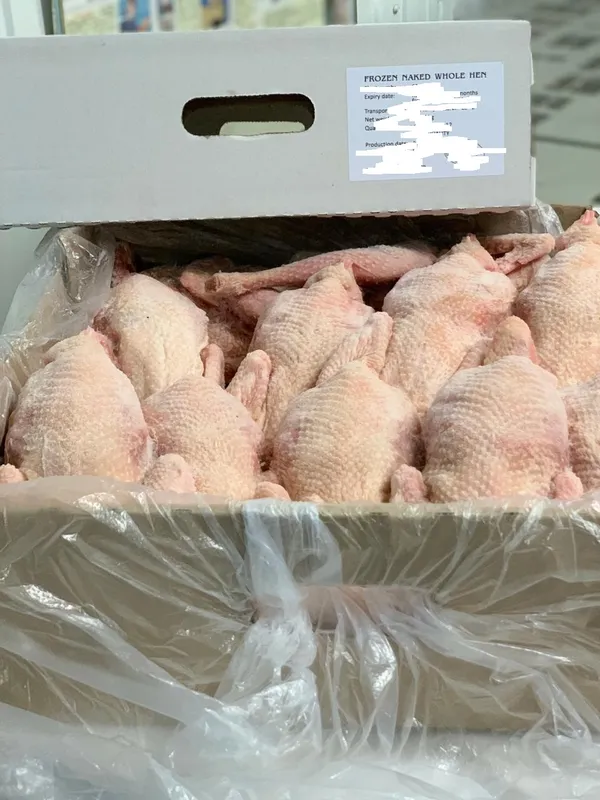 Frozen naked whole hens, for Africa 3