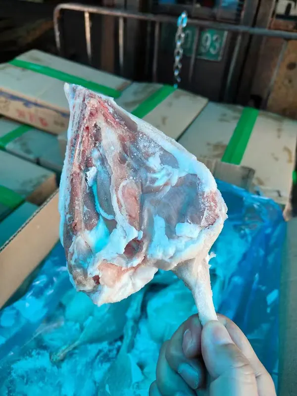 Frozen Duck Legs | Premium Quality | CNAS Certified 3