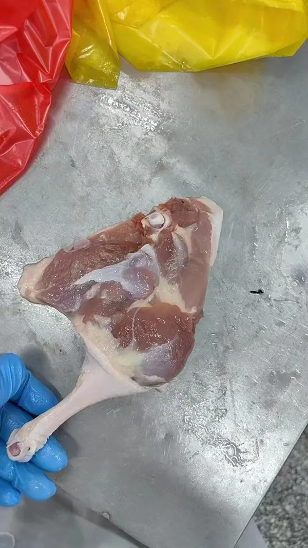 Frozen Duck Legs | Premium Quality | CNAS Certified 4
