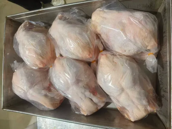 Frozen Suit Chicken | Dressed Whole Chicken | Halal | HACCP | IWP  4