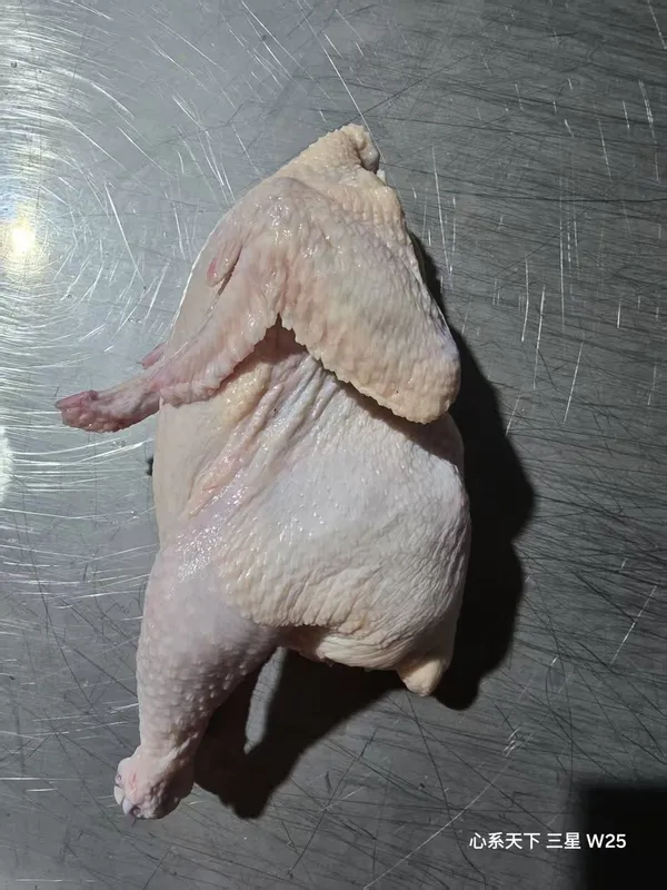Frozen Suit Chicken | Dressed Whole Chicken | Halal | HACCP | IWP  2