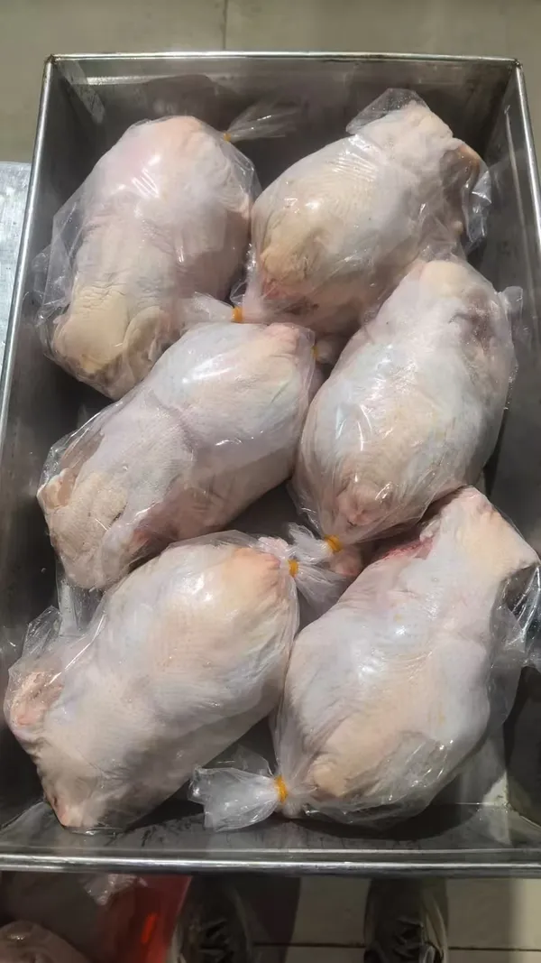Frozen Suit Chicken | Dressed Whole Chicken | Halal | HACCP | IWP  3