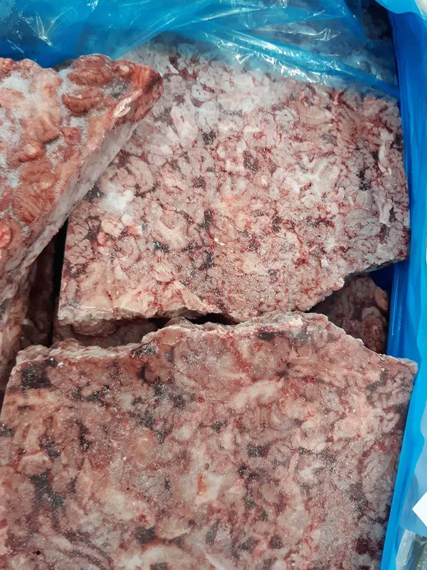 Frozen pork brains 2