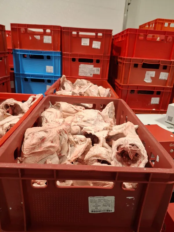 Chicken Caracases frozen box 10 kg 3