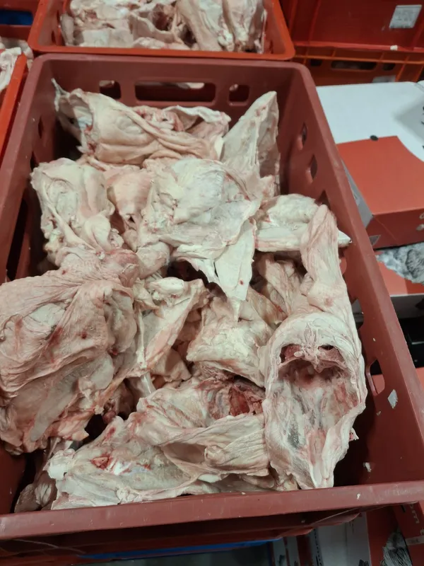 Chicken Caracases frozen box 10 kg 4