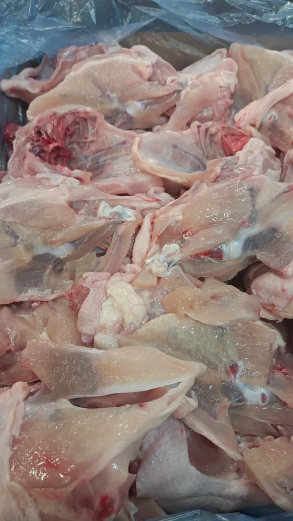 Chicken Caracases frozen box 10 kg 6