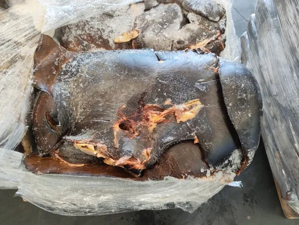 Horse liver cat. 3 2