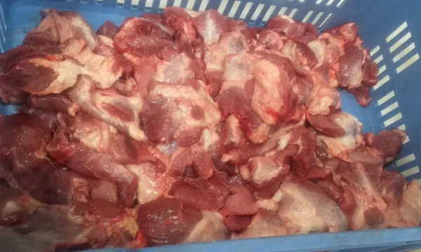 Pork trimming 80/20 premium 4