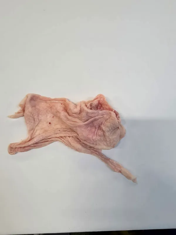 Fresh and frozen chicken skin 2