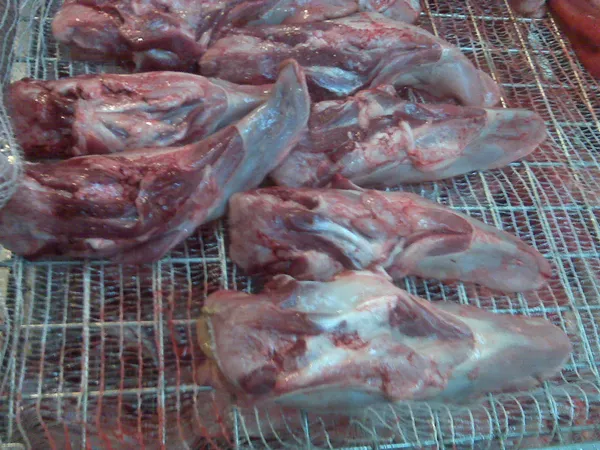 Frozen pork tongues swiss cut 2