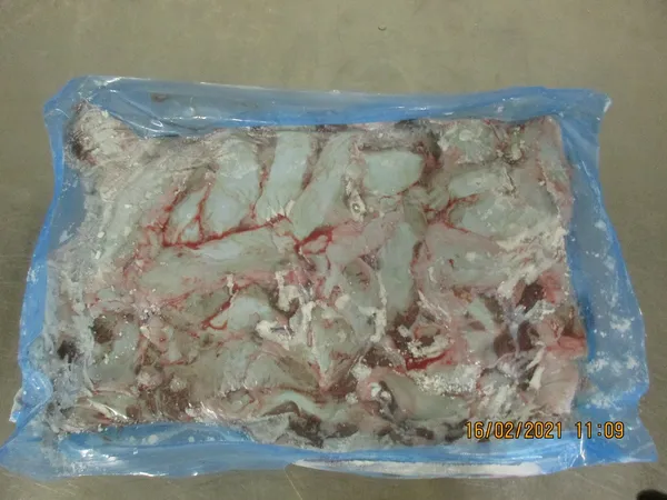 Frozen pork tongues swiss cut 4