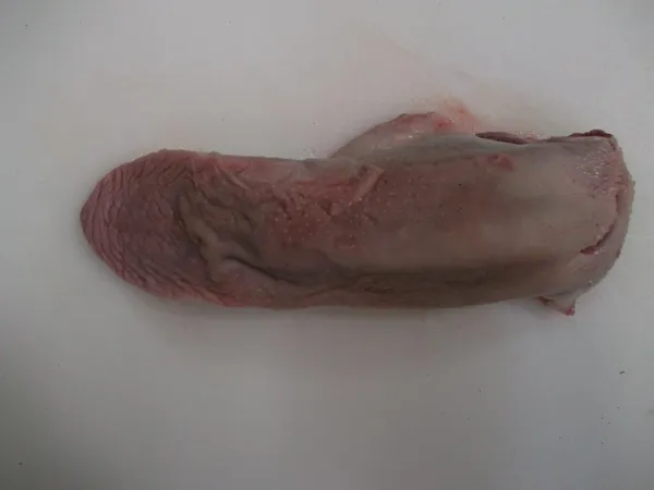 Frozen pork tongues swiss cut 6