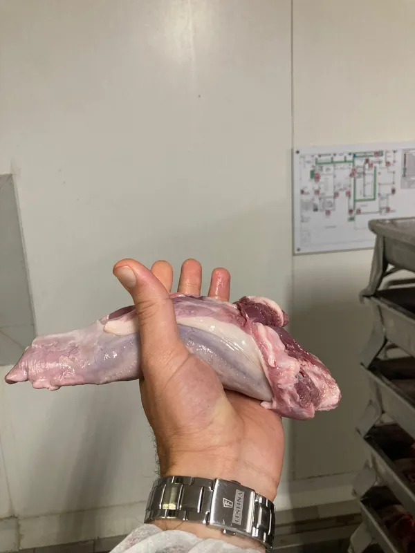 Frozen pork tongues swiss cut 7