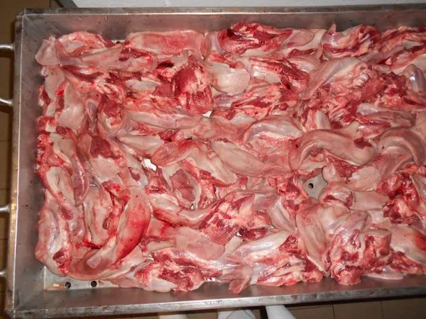 Frozen pork tongues swiss cut 8