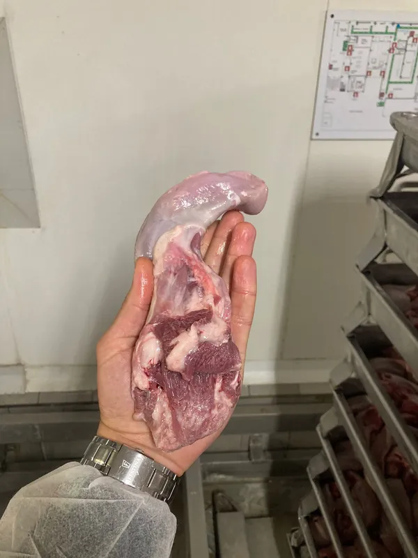 Frozen pork tongues swiss cut 10