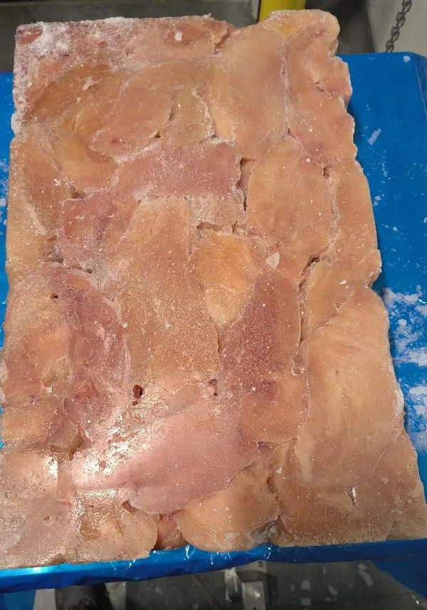 Chicken fillet frozen block 15 kg 4