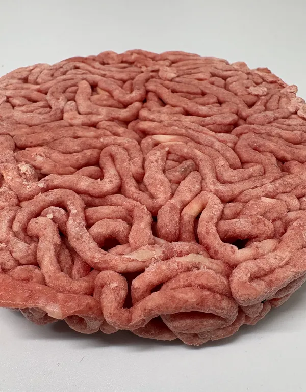 Burger Facon Bouchere 2