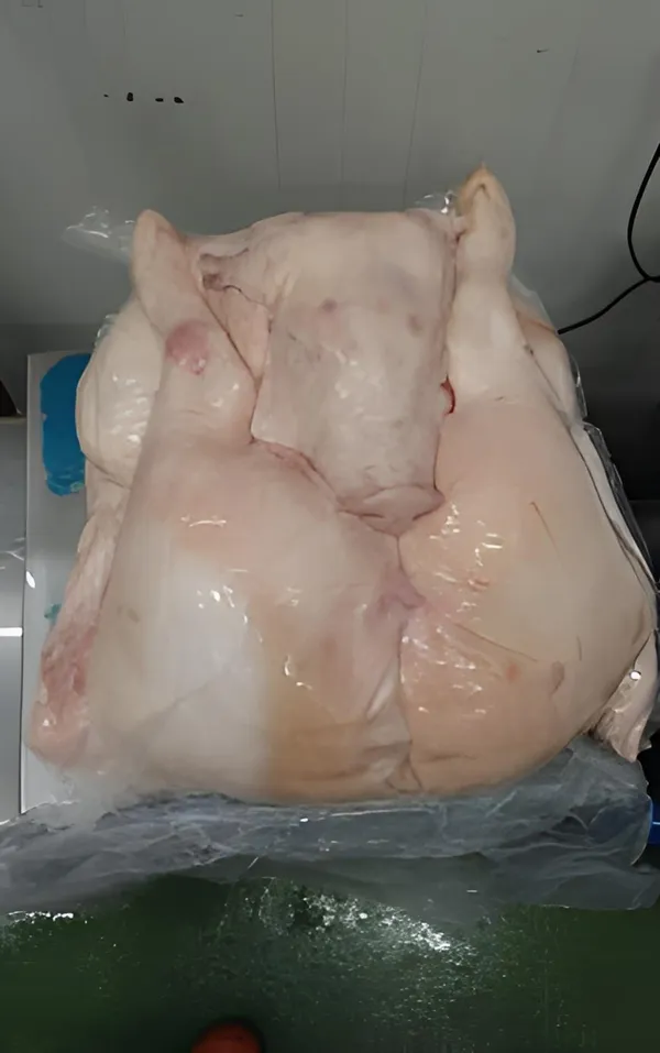 PORK - Milk-fed pig - Whole Carcass 8-10kg 3