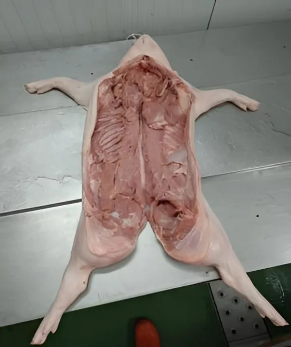 PORK - Milk-fed pig - Whole Carcass 12-15kg 5