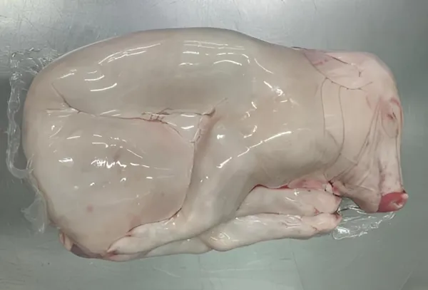 PORK - Milk-fed pig - Whole Carcass 12-15kg 6