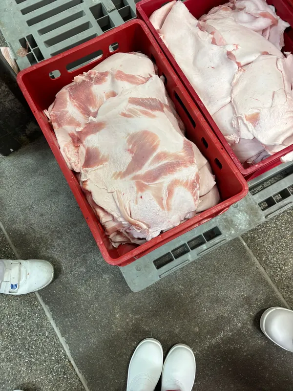Pork cutting fat frozen