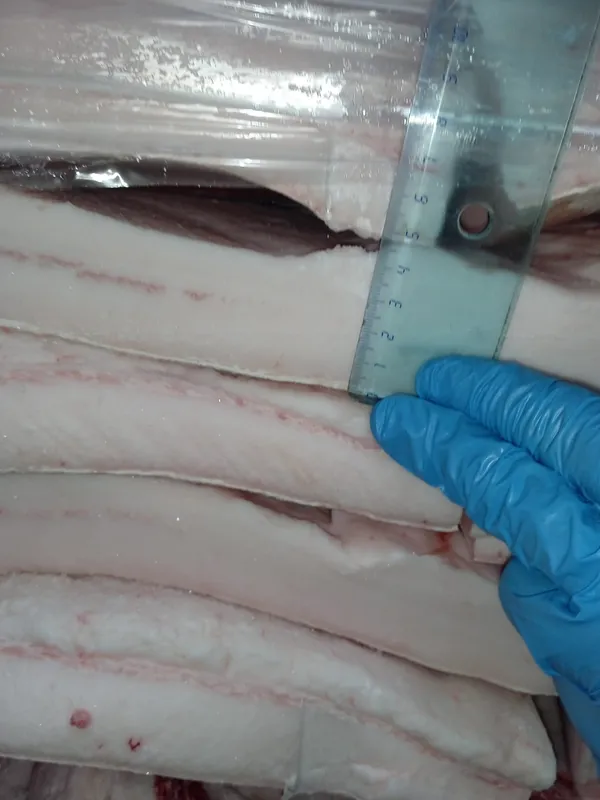 Frozen iberico pork back fat 5