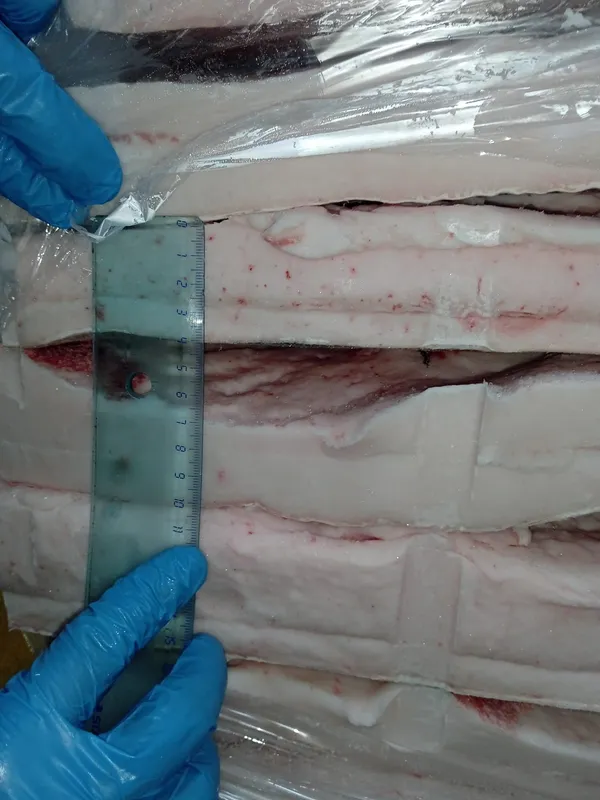 Frozen iberico pork back fat 7