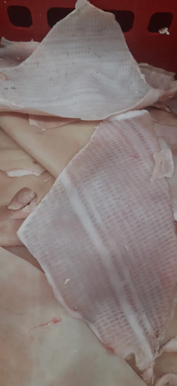 Frozen pork skin  3