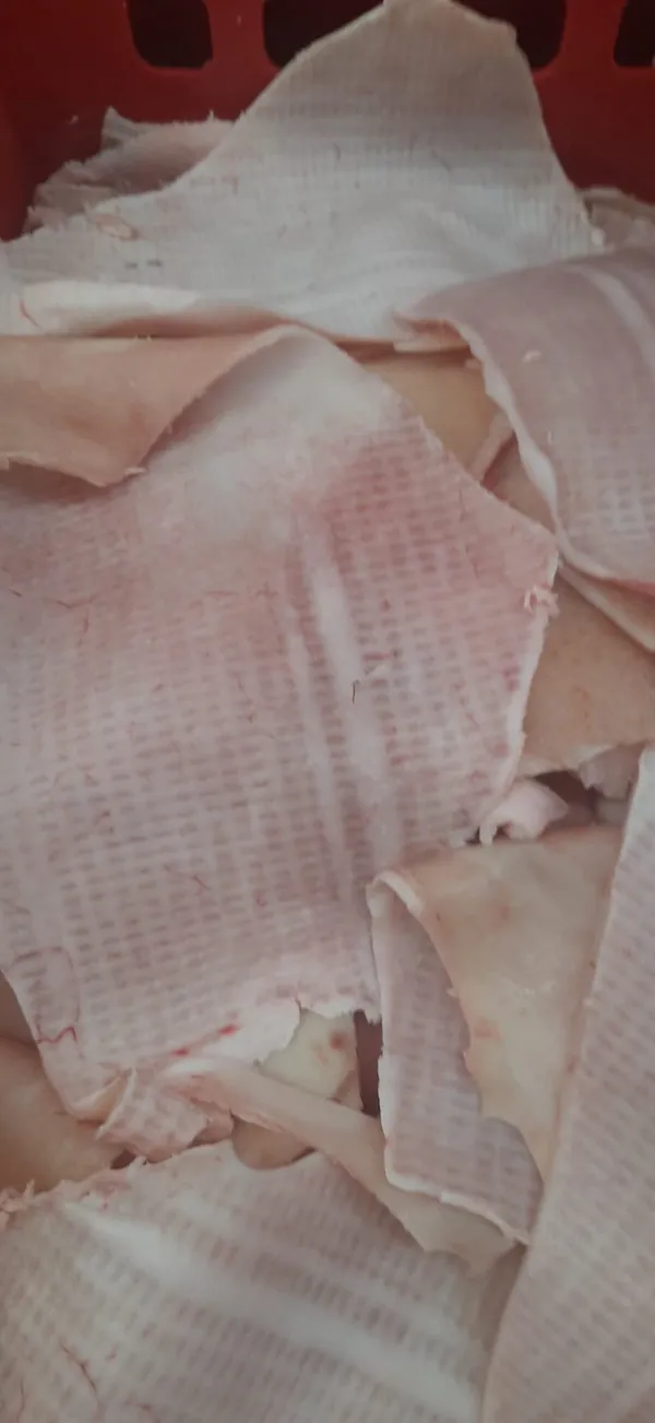 Frozen pork skin  4